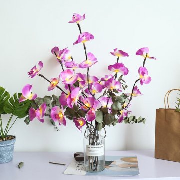Svítící větvičky orchideje Svítící větvičky orchideje